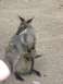 australia 094.jpg